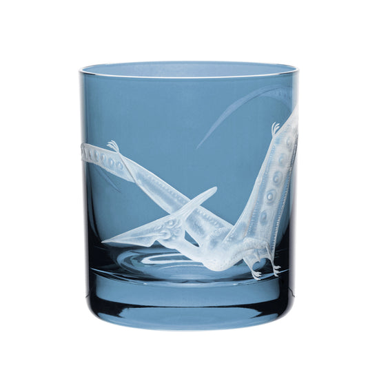 Dinosaur Collection 1 Pterodactyl