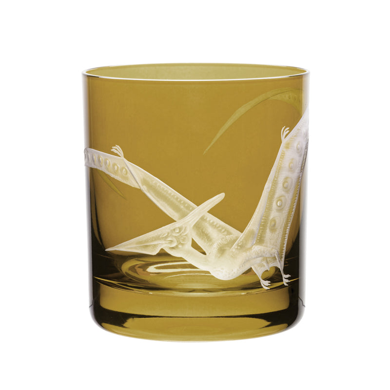 Dinosaur Collection 1 Pterodactyl