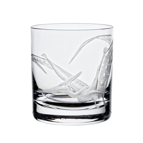 Dinosaur Collection 1 Pterodactyl