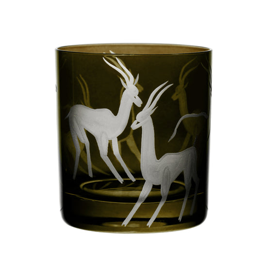 Safari Gazelles
