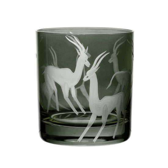 Safari Gazelles