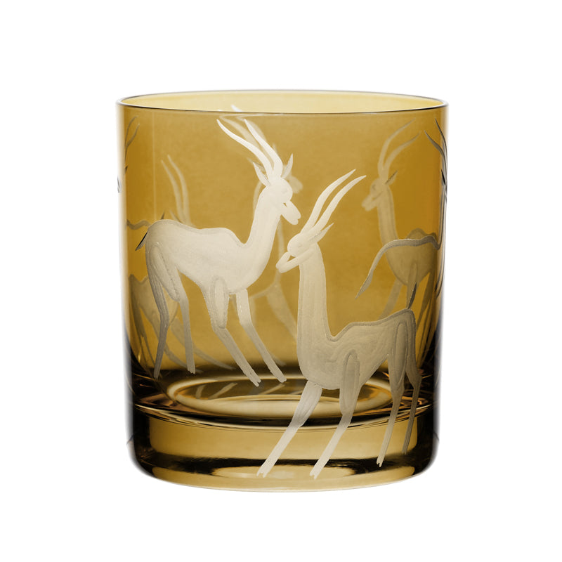 Safari Gazelles