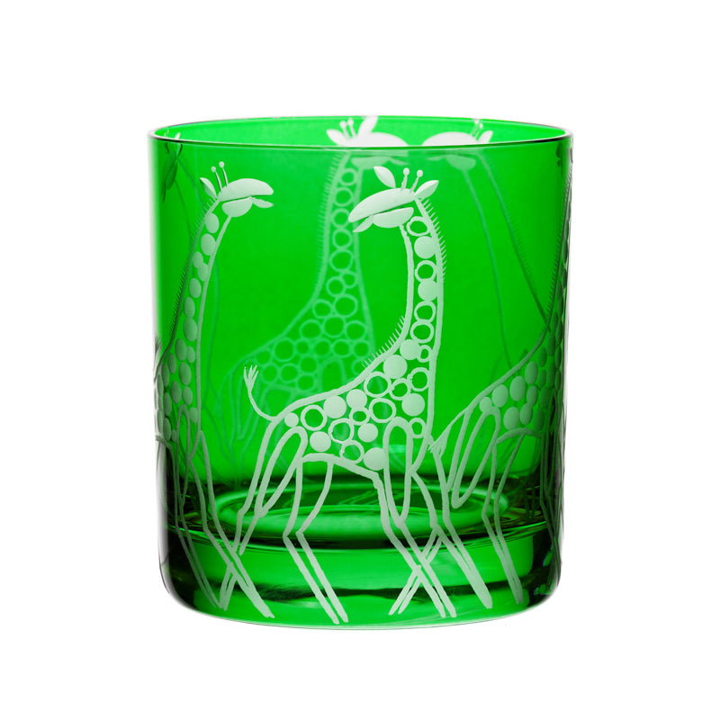 Safari Giraffes