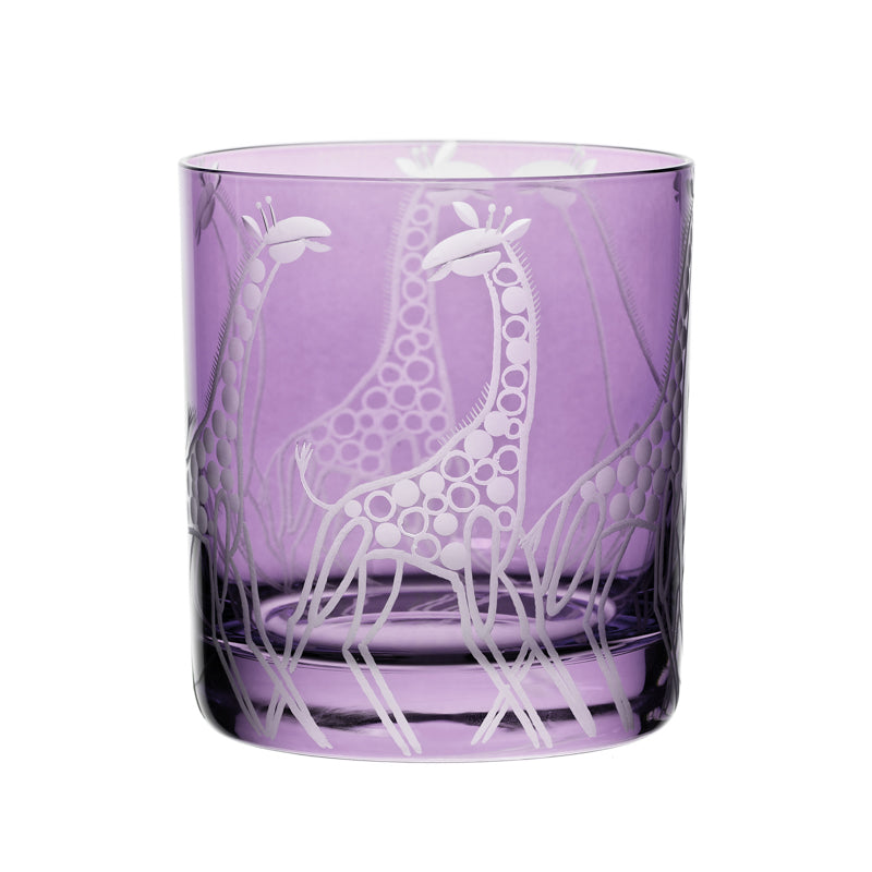 Safari Giraffes