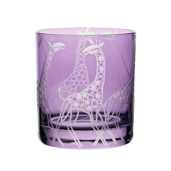 Safari Giraffes