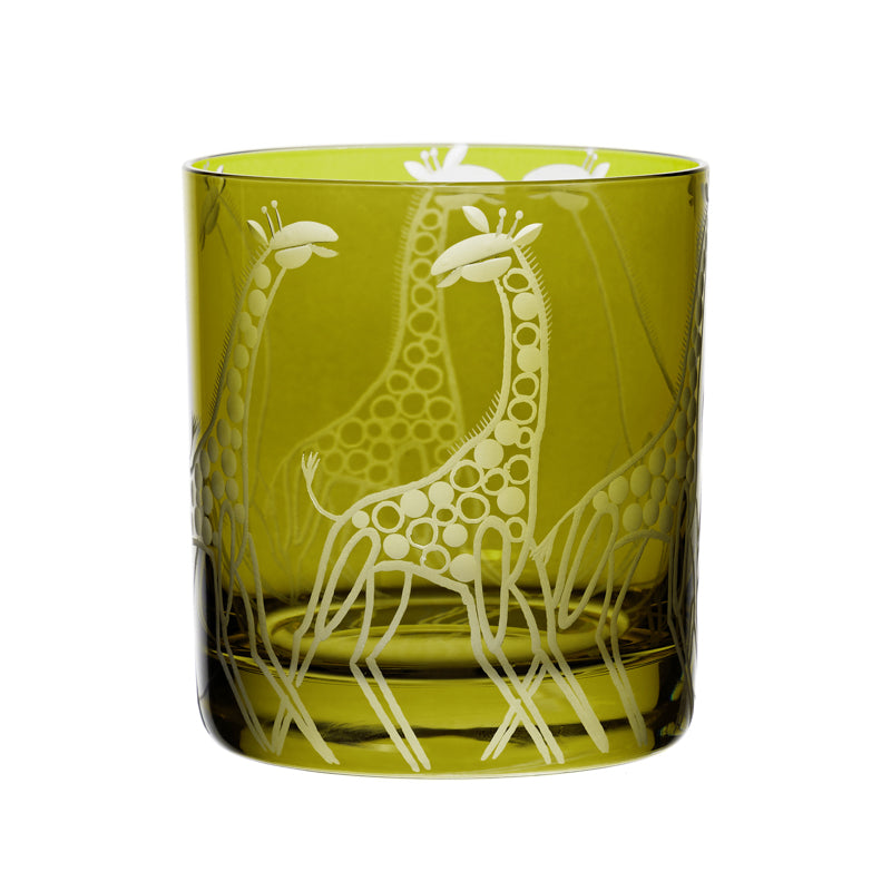 Safari Giraffes