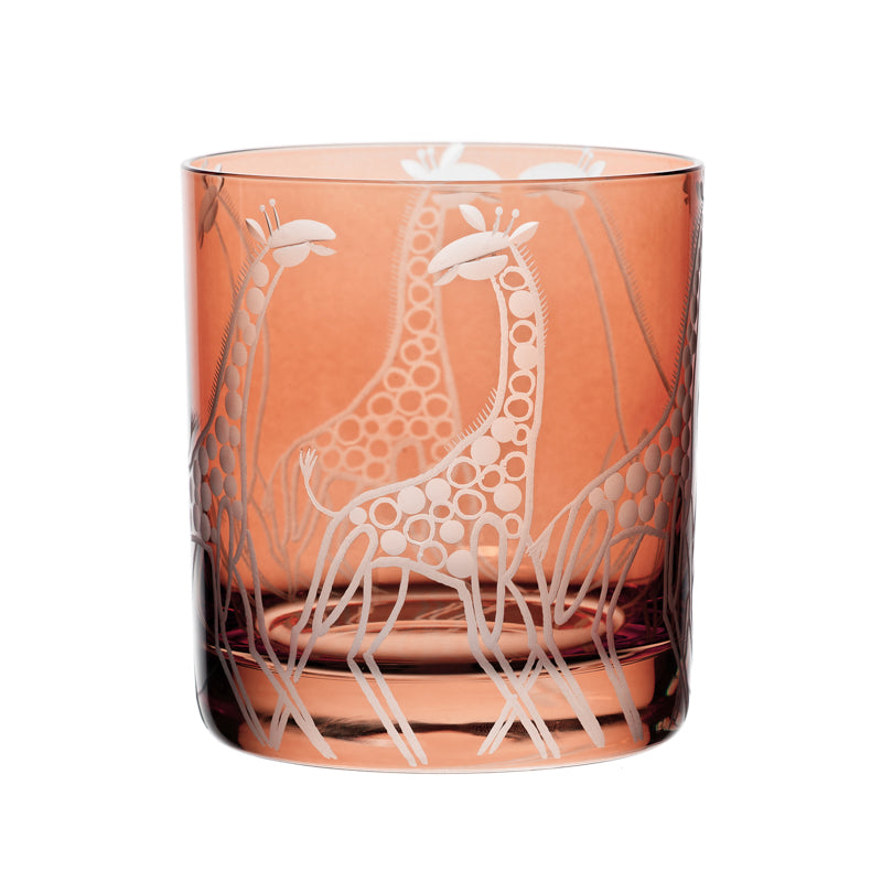Safari Giraffes