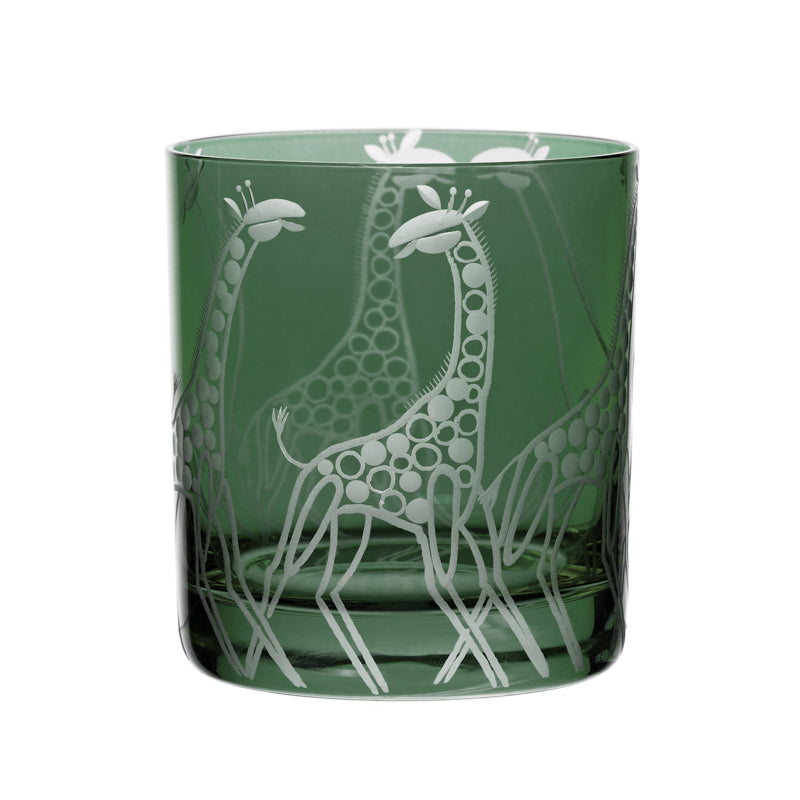 Safari Giraffes