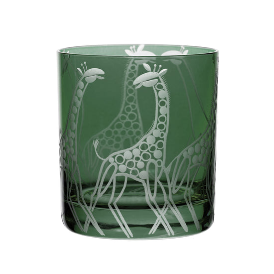 Safari Giraffes