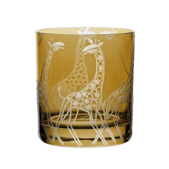 Safari Giraffes