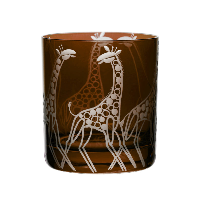 Safari Giraffes
