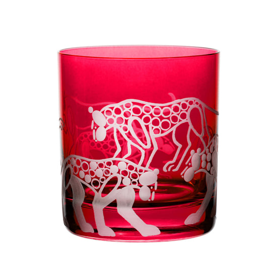 Safari Leopards