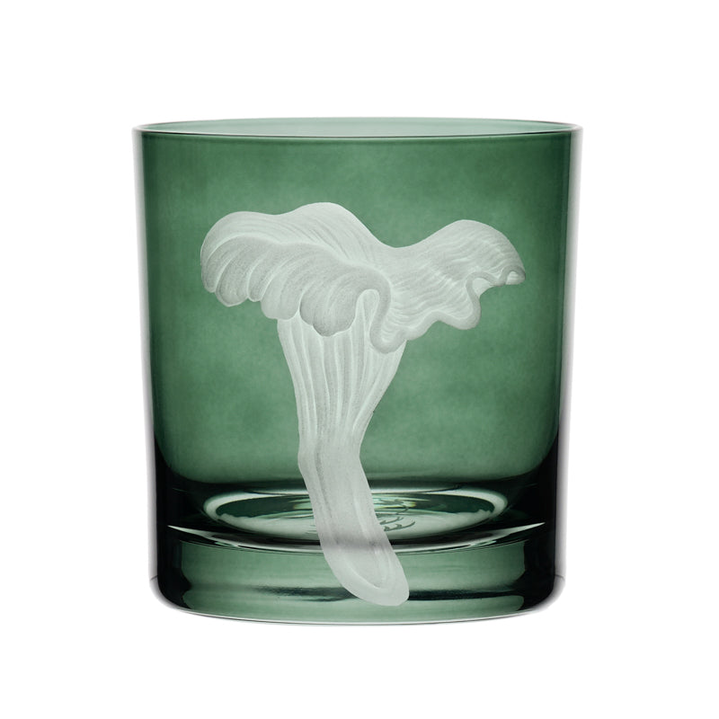 Mushrooms Chanterelle