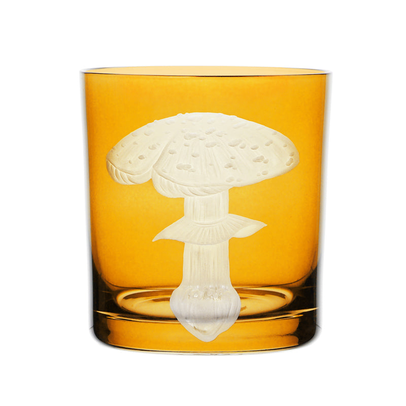 Mushrooms Fly Amanita