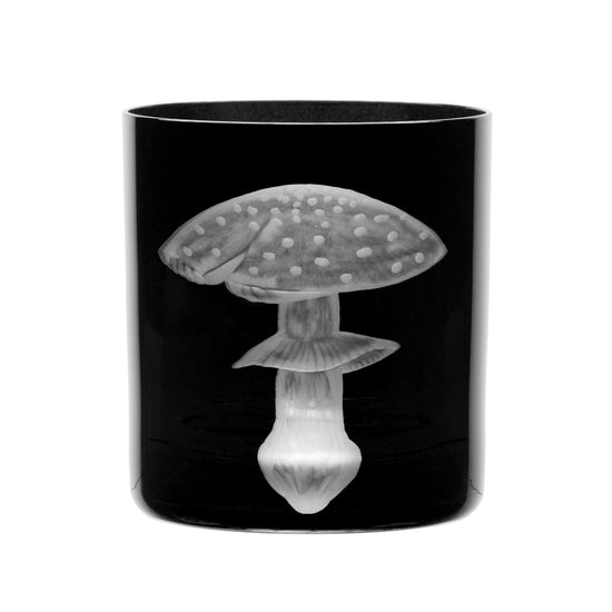 Mushrooms Fly Amanita