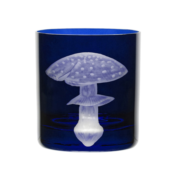 Mushrooms Fly Amanita