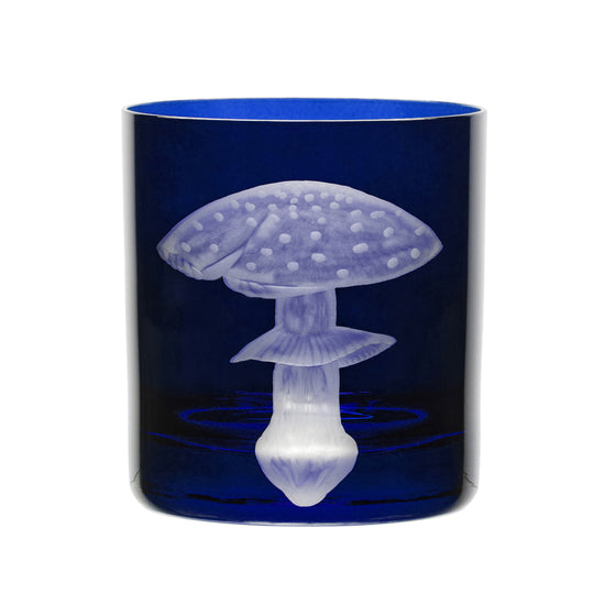 Mushrooms Fly Amanita