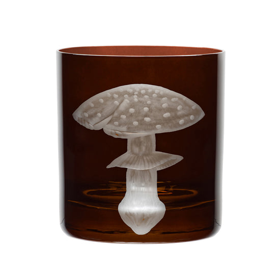 Mushrooms Fly Amanita