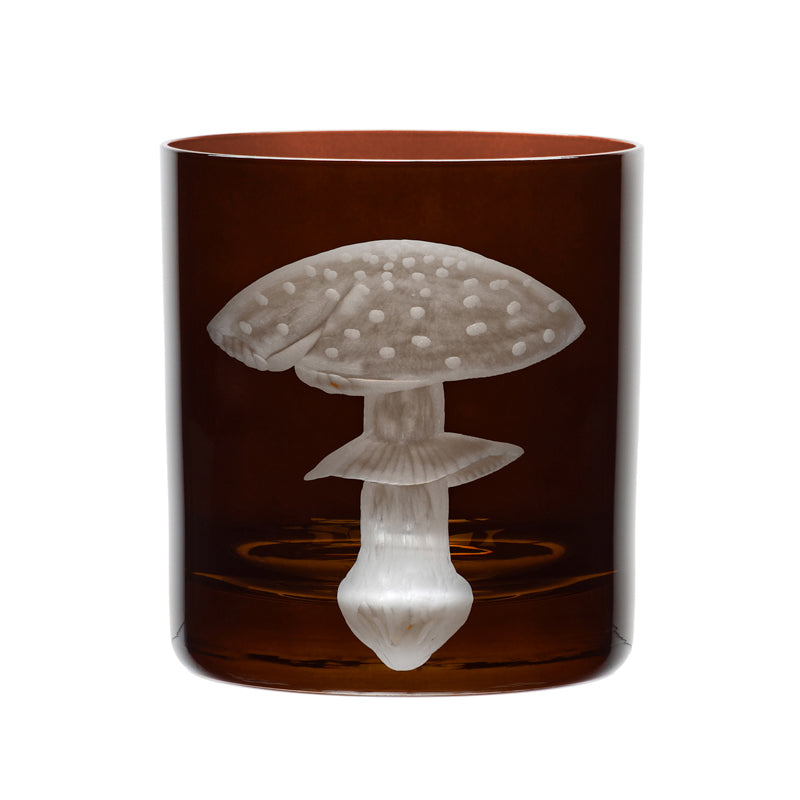 Mushrooms Fly Amanita