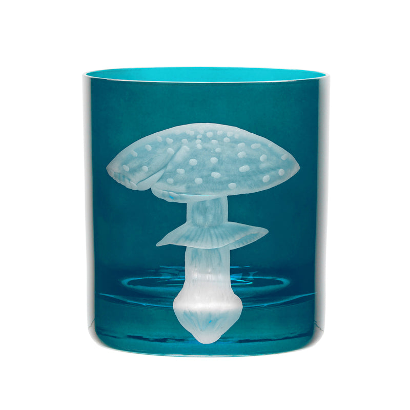 Mushrooms Fly Amanita