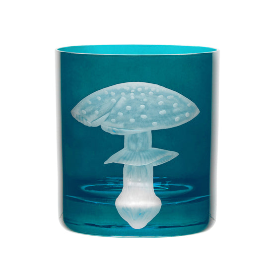 Mushrooms Fly Amanita