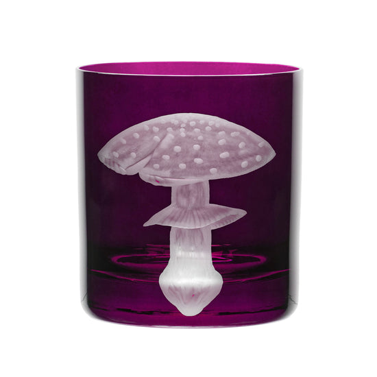 Mushrooms Fly Amanita