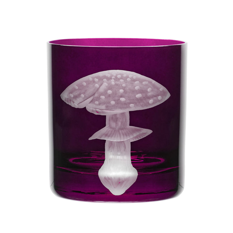 Mushrooms Fly Amanita