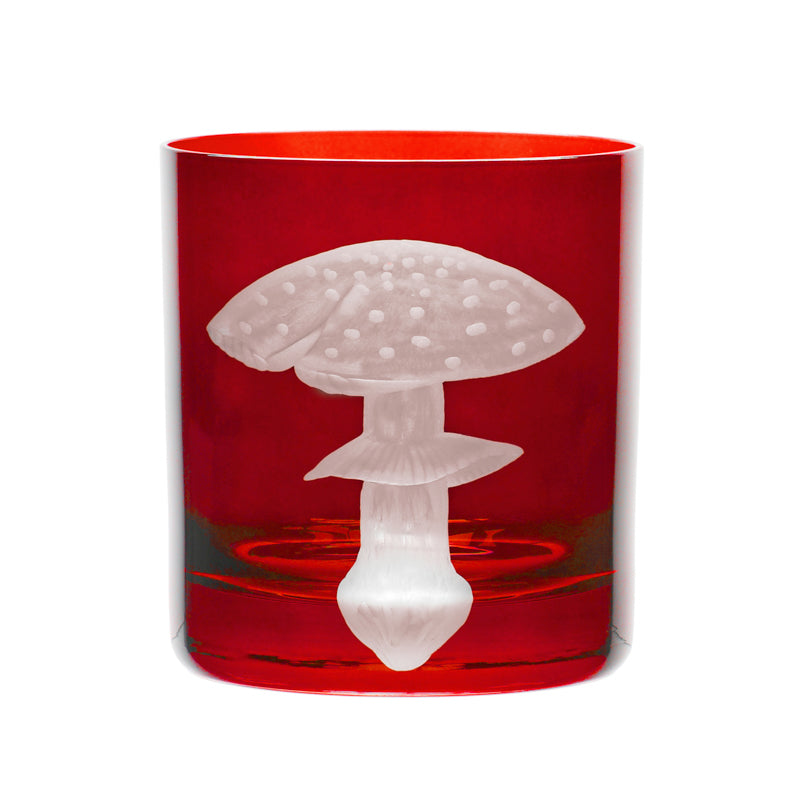 Mushrooms Fly Amanita