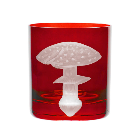 Mushrooms Fly Amanita