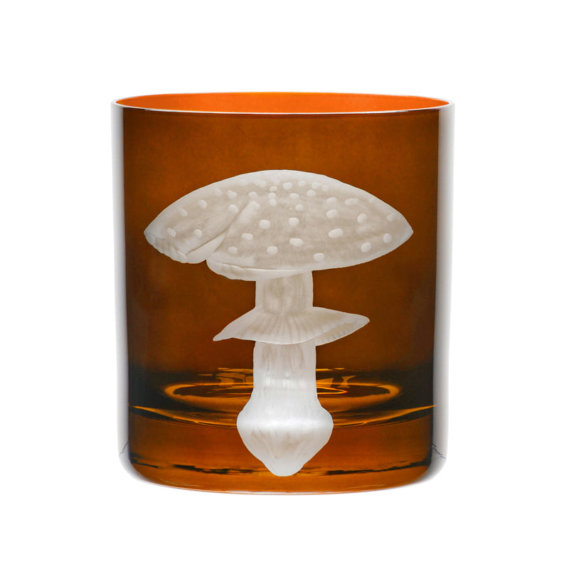 Mushrooms Fly Amanita