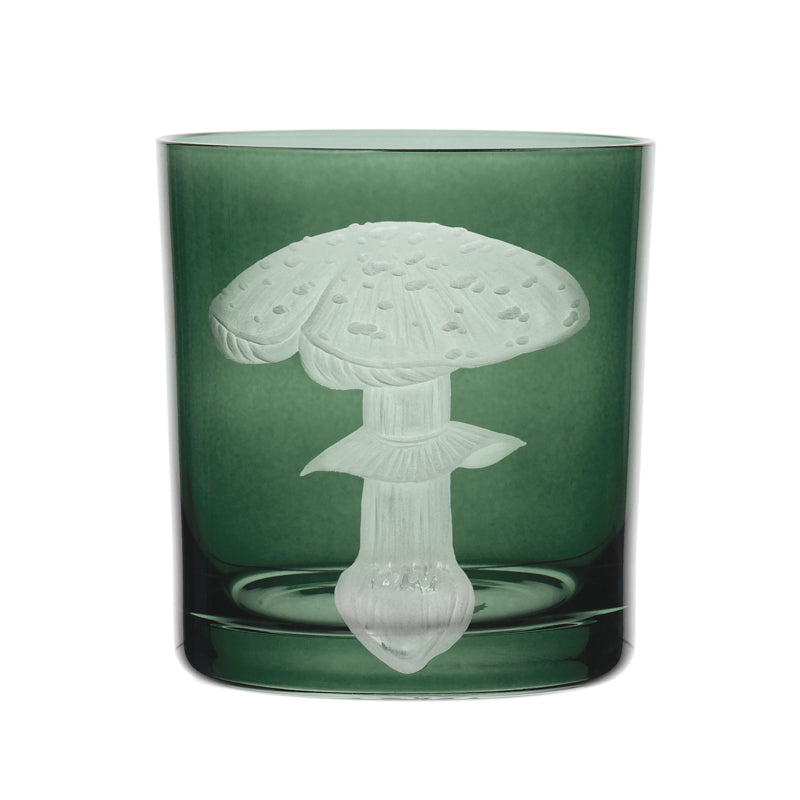 Mushrooms Fly Amanita