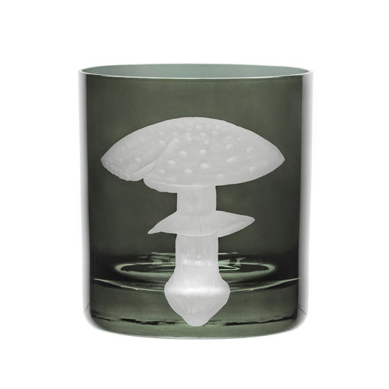 Mushrooms Fly Amanita