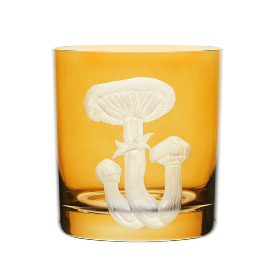 Mushrooms Honey Fungus