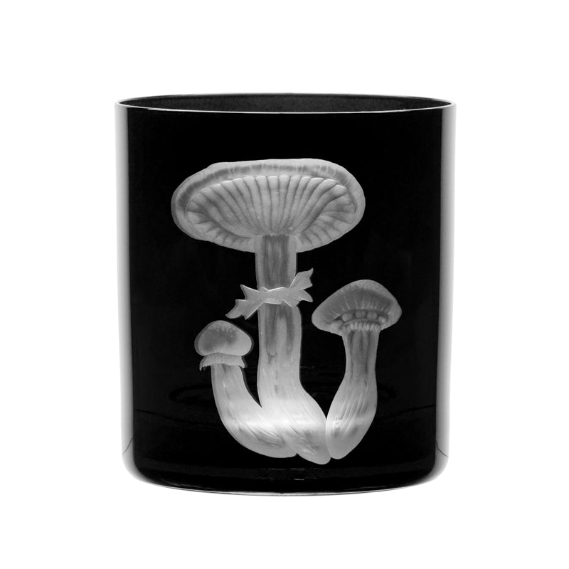 Mushrooms Honey Fungus