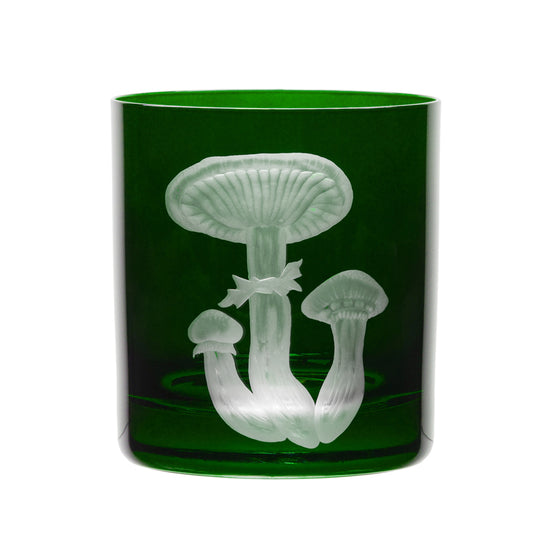 Mushrooms Honey Fungus