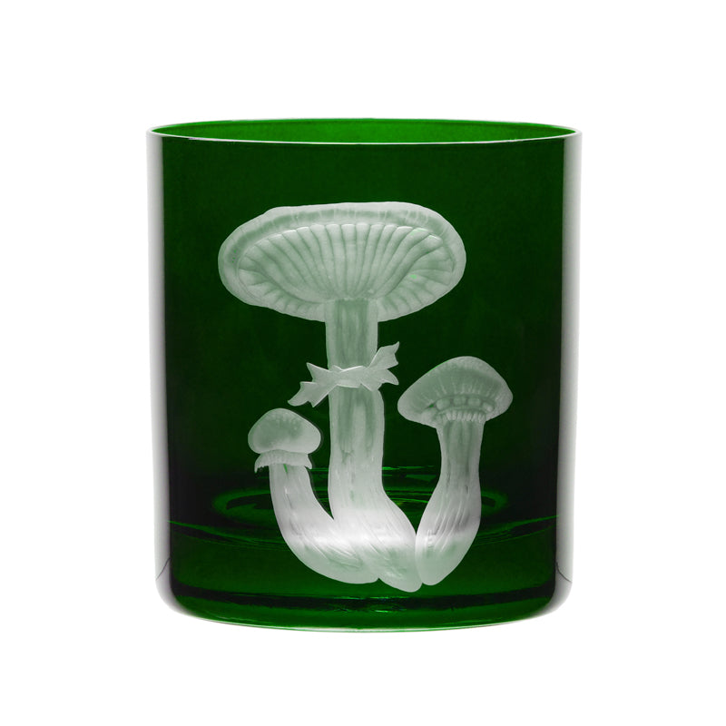 Mushrooms Honey Fungus