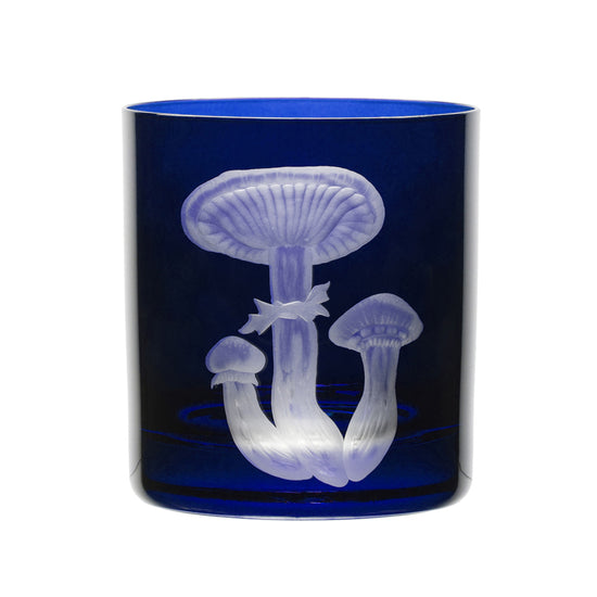 Mushrooms Honey Fungus