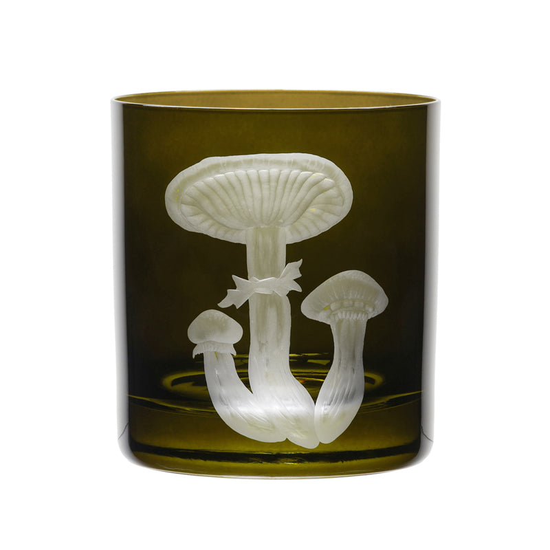 Mushrooms Honey Fungus