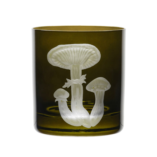 Mushrooms Honey Fungus