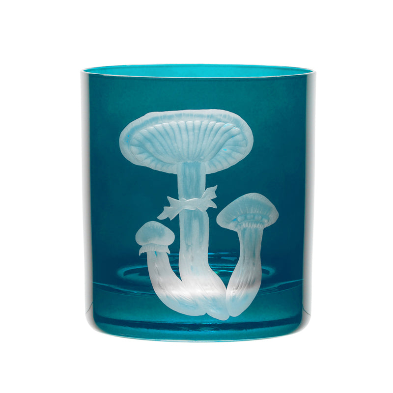 Mushrooms Honey Fungus