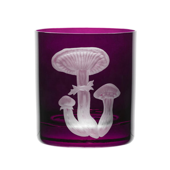 Mushrooms Honey Fungus