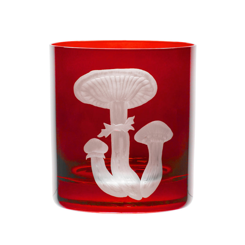 Mushrooms Honey Fungus