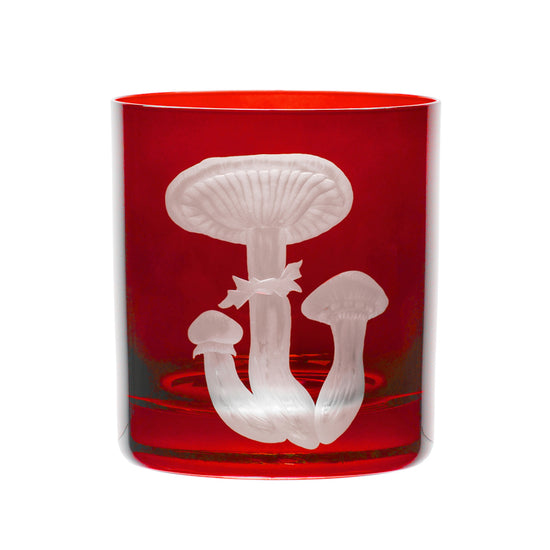 Mushrooms Honey Fungus