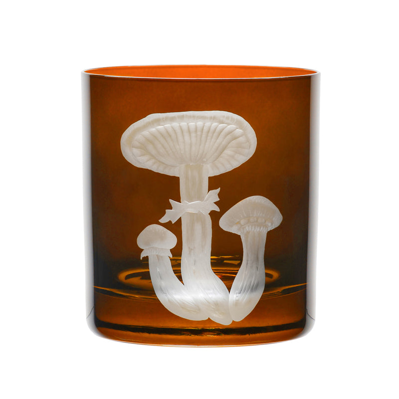 Mushrooms Honey Fungus