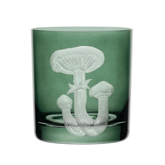 Mushrooms Honey Fungus