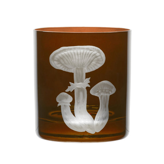 Mushrooms Honey Fungus