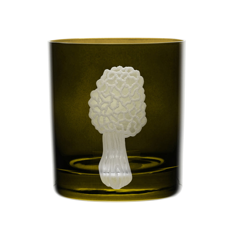 Mushrooms Morel