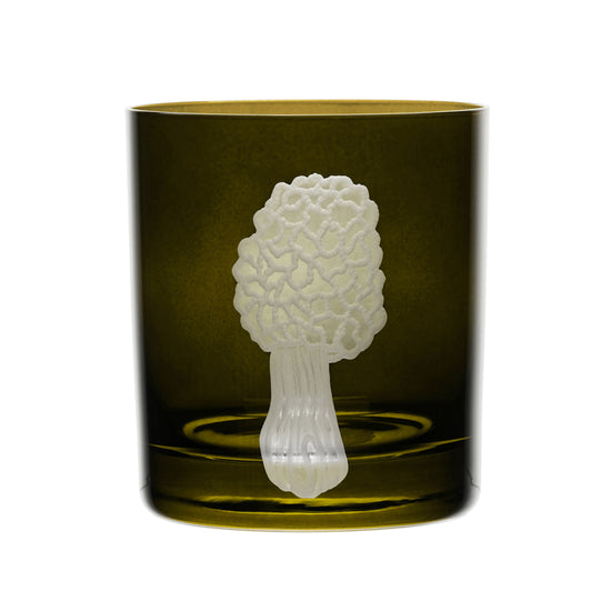 Mushrooms Morel