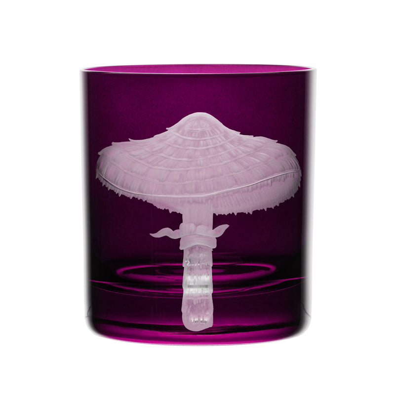 Mushrooms Parasol