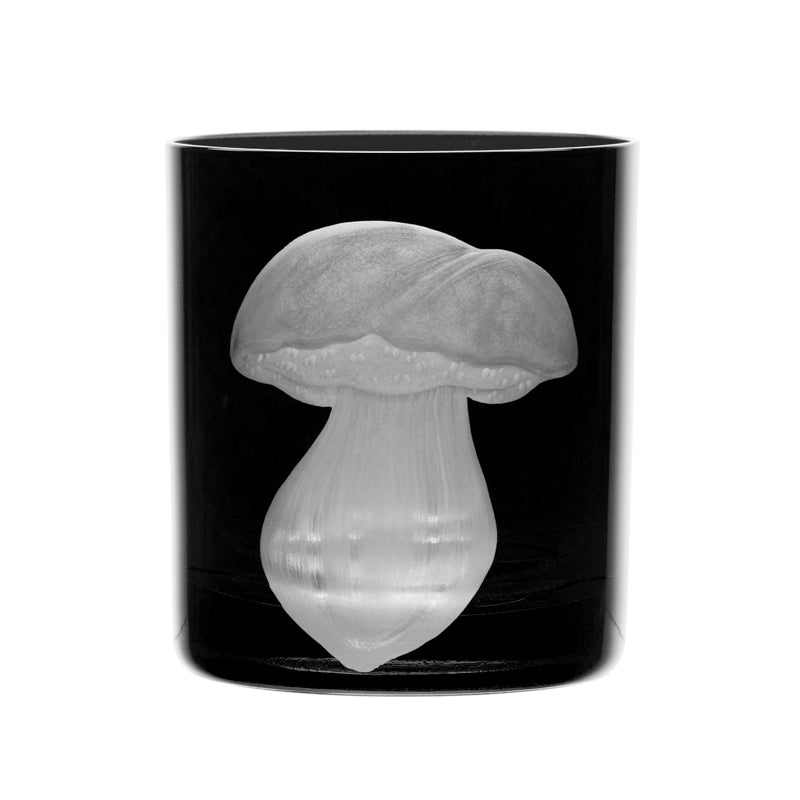 Mushrooms Summer Cep